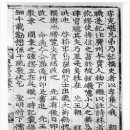 대조-004 이미지