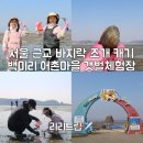 청룡어촌체험마을2 | 서해 갯벌체험장 백미리 어촌마을 아이랑 서울 근교 바지락 조개 캐기