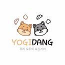 요기당 이미지