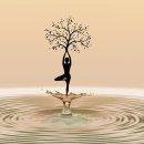 참살이건강쎈터 이미지