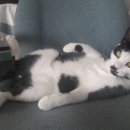 대심농장 이미지