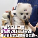 위런한방재활동물병원 이미지