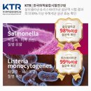 세교한국태권도장 네이버블로그