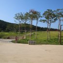 대가야생활촌 물놀이장 이미지