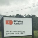 대관령 사파리 목장 | 비 오는 날 대관령 삼양목장 솔직 후기, 양도 비 맞고 나도 비 맞고