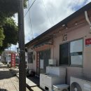 부뚜막식당 | 제주 갈치조림 갈치구이 맛집 성산 부뚜막식당 내돈내산 간단후기