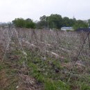 분천농장 이미지