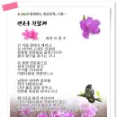 연분홍 진달래 - 애천 이종수 이미지