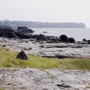 소금길 2코스 Daum카페