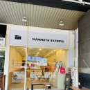 매머드익스프레스일산