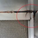 신탄진로738번길 이미지