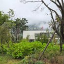 케일라호텔 별관B동 | [공주 여행] 코스맥스그룹 임직원 근로복지시설! 코스맥스 향약원 후기