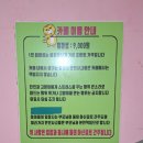 고양이살롱앤카페 | 양산고양이살롱앤카페 (고양이간식체험)