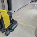 미광광택 이미지