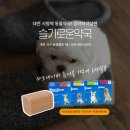 슬기로운약국 이미지