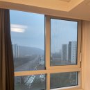 강남오피스텔 | 강남 청담동 오피스텔청소 후기 집중클린에 맡긴 입주청소 솔직 후기
