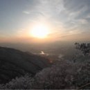 오카리나 (연주자) 이미지