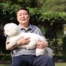 도그동물농장 이미지