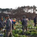 육군학생군사학교 이미지