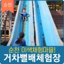 순천만 거차뻘배체험장 | 순천 거차뻘배체험마을, 무더운 날씨 순천만 거차뻘배체험장에서!