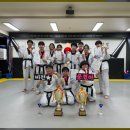 한국체대 참태권도장 이미지