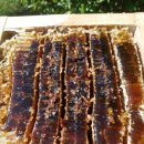 동두천-003 이미지