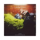 DIY 다용도 꽂이 만들기 | 테라리움무드등 DIY키트 모스카드무드 고테라 GOTERRA