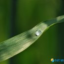 안성시립중앙도서관 전시실 이미지