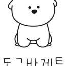 도그바게트 이미지