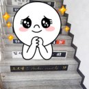 제일프라자온누리약국 이미지