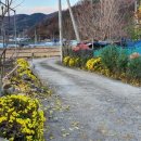 오솔길 농장 이미지