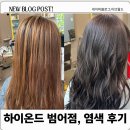 하이헤어샵 | [대구/수성구] 대구 범어동 미용실 &#39;하이온드헤어 범어점&#39;에서 애쉬브라운 염색한 후기