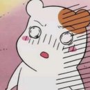 yes의원 | 용인 수지 치질 수술 잘 하는 병원 수지항외과의원에서 받은 치질 수술 후기