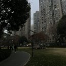 외계인양꼬치 | 미세먼지와 함께하는 상하이 (상하이 5박 6일 여행기 2편)