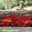 와보랑께박물관민박 | [전남] 낭만카 와 함께 강진 고고