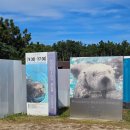 돌고래레스토랑 | [후쿠오카 관광지] "마린월드" 돌고래, 해달 이동방법, 레스토랑 후기