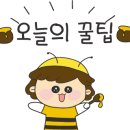 세종스마일꽈배기