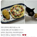 여시까까 이미지