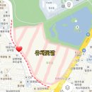 CU 대구성당동점 | 대구 꽃구경 :: 두류공원 유채꽃(성당못 유채꽃)위치 &amp; 후기