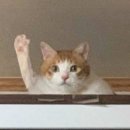 (주)포에버 이미지