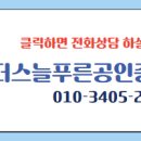 현대늘푸른 공인중개사사무소 이미지