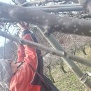 나금이네 이미지