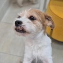 도곡종합동물병원 이미지