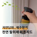 자연의 향기를 담은 천연제품 만들기 | 천연 탈취제 고민 끝! 아기 고양이 키우는 집에는 자연담화 제주향기 피톤치드 스프레이