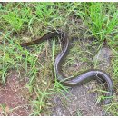 늘푸른낚시터 이미지