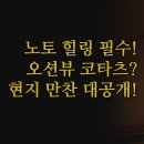 푸른온천목욕탕 | 와지마 온천 노토노쇼 | 오션뷰 코타츠 힐링 | 노토 현지 식재료 만찬 후기 | 완벽한 온천 숙소 추천