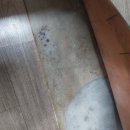 영등현대아파트 이미지