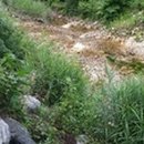 개울달천 이미지