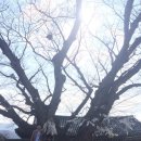 안동학가산온천 이미지