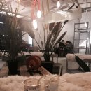투카인즈오브커피